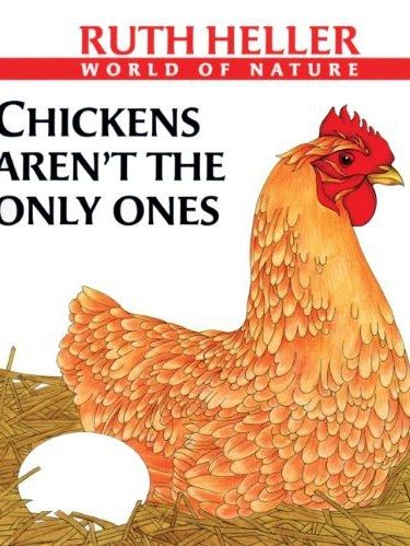 Chickens Aren\x27t the Only Ones