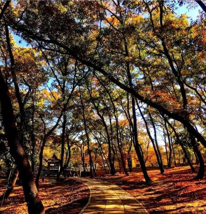 安徽韭山國家森林公園