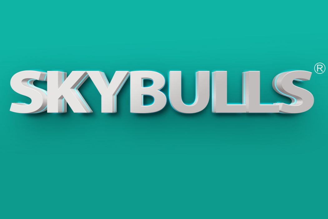 SKYBULLS