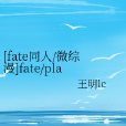 [fate同人/微綜漫]fate/play game