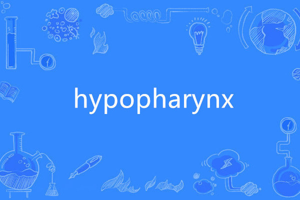 hypopharynx