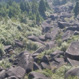 浙江玉蒼山國家森林公園(玉蒼山國家森林公園)