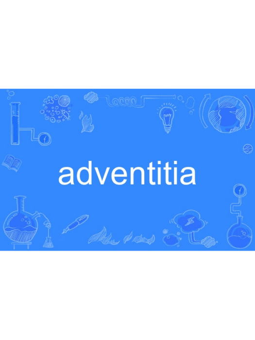 adventitia