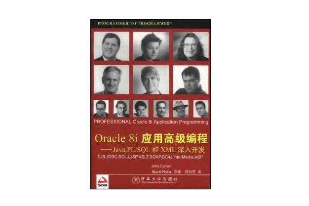 Oracle 8i套用高級編程