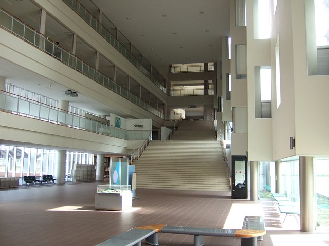 金澤大學