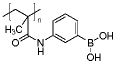 3-（甲基丙烯醯氨基）苯硼酸均聚物