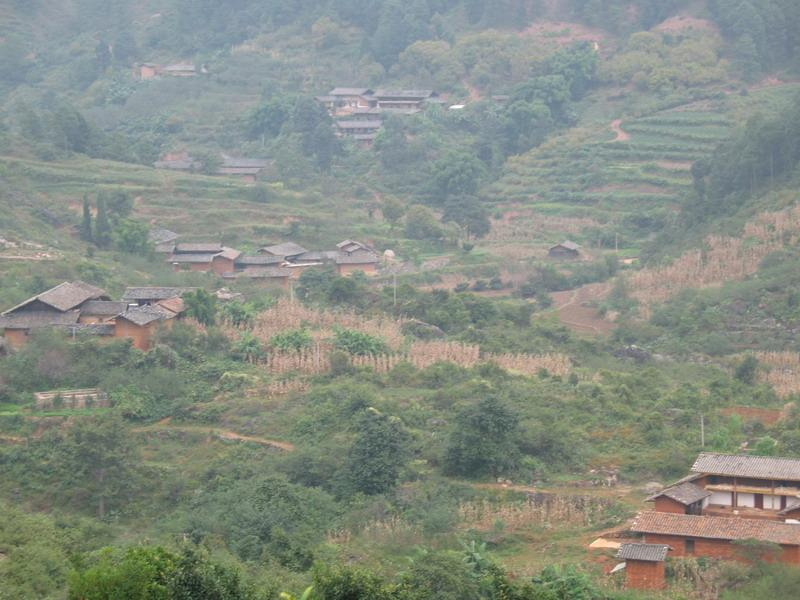 龍河村(安徽省六安市舒城縣萬佛湖鎮下轄村)