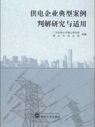 供電企業典型案例判解研究與適用