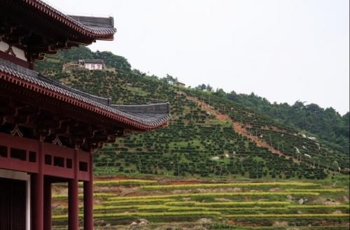 應天寺(四川省成都市雙流縣寺廟)