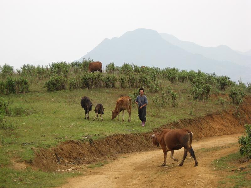 小里達村