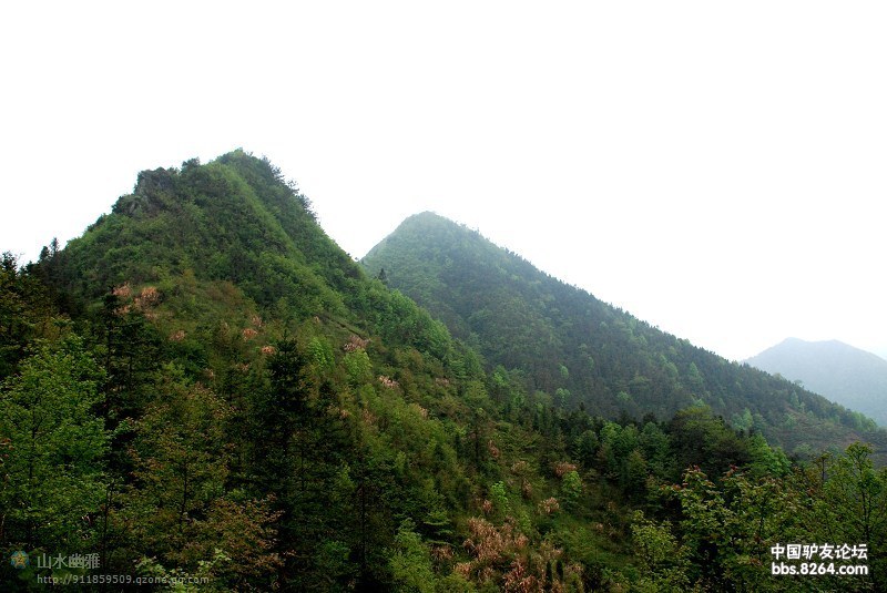 穀雨嶺