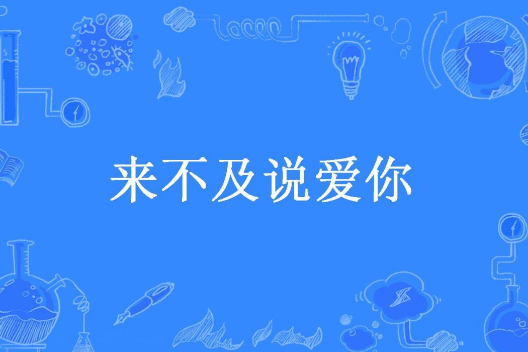 來不及說愛你(江柳所著小說)