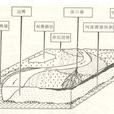 河床滯留沉積