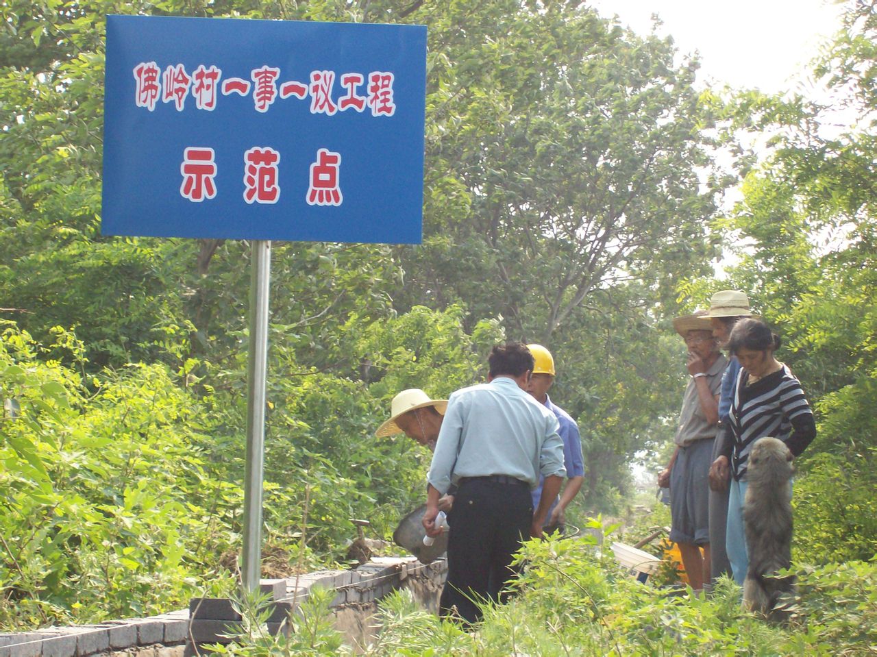 佛嶺村(安徽省巢湖市散兵鎮佛嶺村)