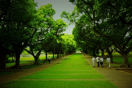 東海大學(中國台灣東海大學)