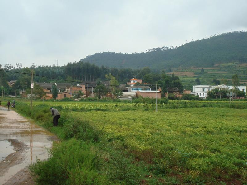 蘇家寨村(雲南石屏縣寶秀鎮下轄村)