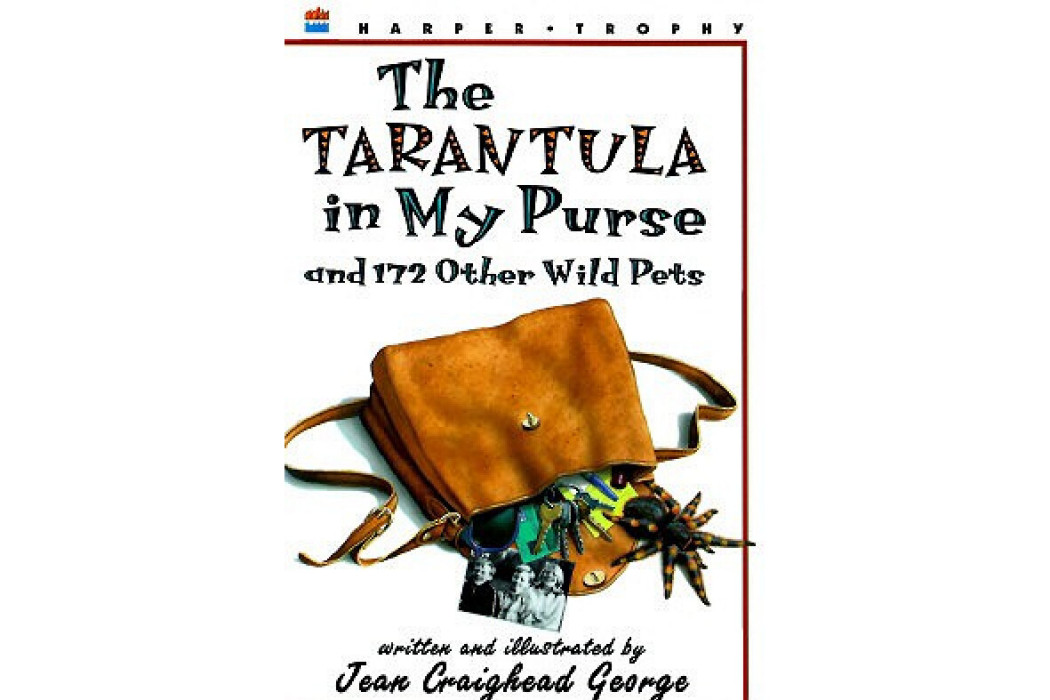 The Tarantula in My Purse