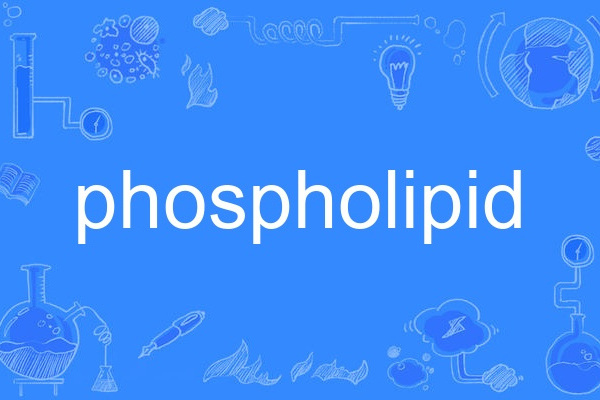 phospholipid