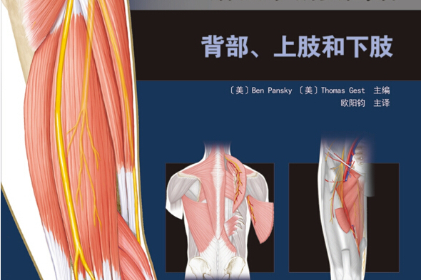 LWW解剖學精要圖譜：背部、上肢和下肢