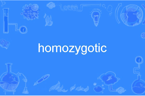 homozygotic