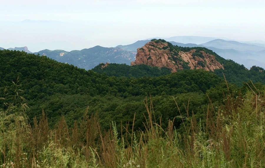 沂山