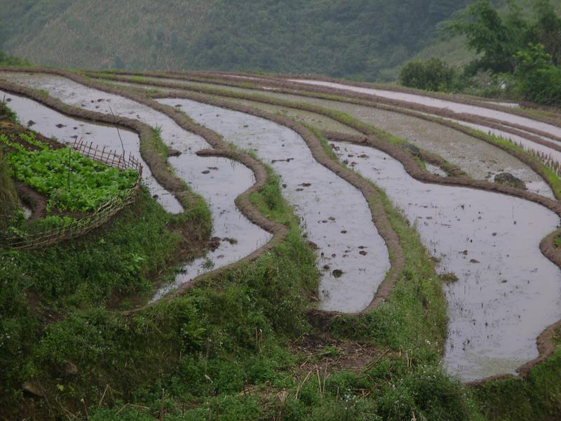 村中田園