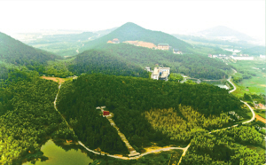 南京遊子山國家森林公園