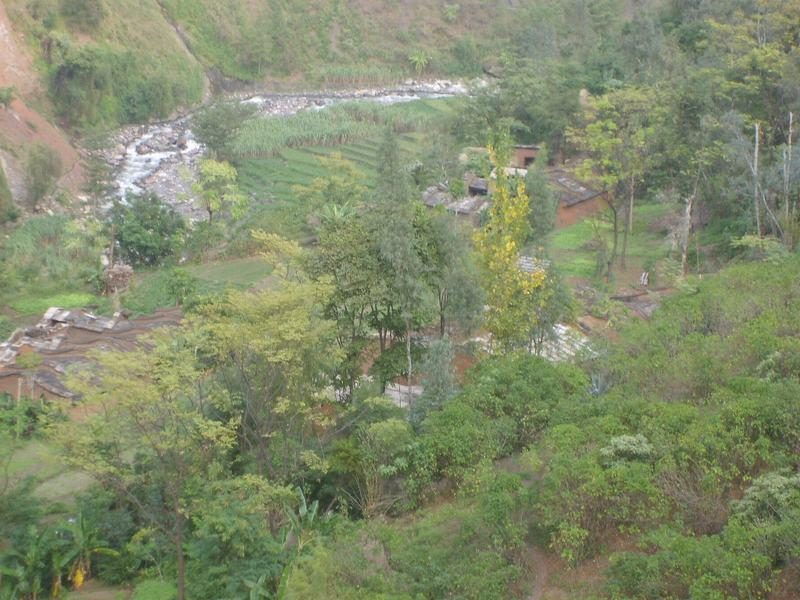 松棵村(雲南省昆明市東川區舍塊鄉松棵村)