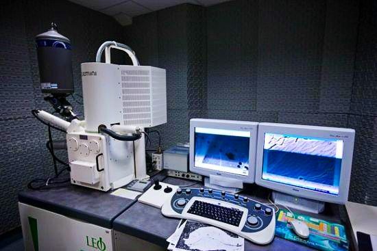掃描電子顯微鏡(電子掃描顯微鏡)