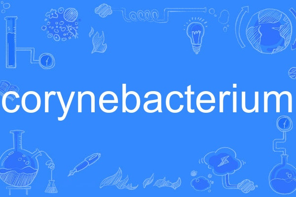 corynebacterium