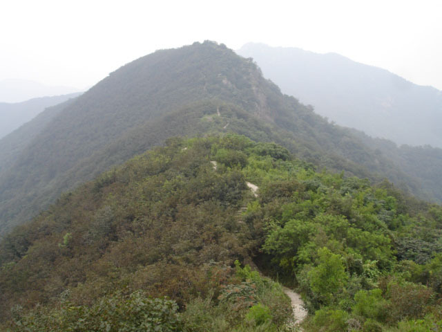 鳩山鄉