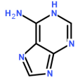 1H-嘌呤-6-胺