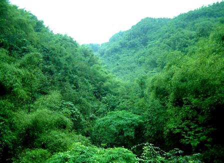 馬家鄉(四川九寨溝縣馬家鄉)