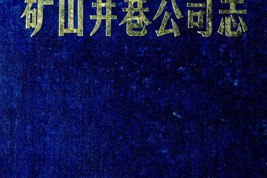 冶金部第二十三冶金建設公司·礦山井巷公司志