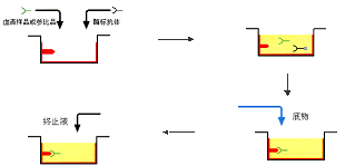 酶聯反應