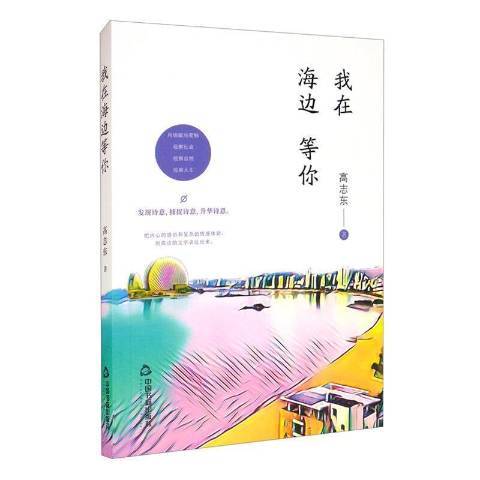 我在海邊等你(2021年中國書籍出版社出版的圖書)