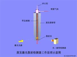 蒸發光散射檢測器工作原理示意圖