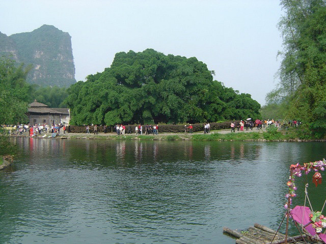 古榕公園(廣西壯族自治區桂林市古榕公園)