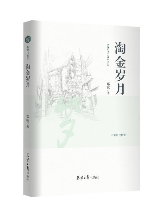 淘金歲月(2023年北京日報出版社出版的圖書)