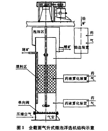 全截面氣升式微泡浮選機結構示意