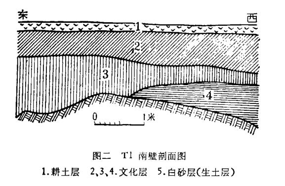 盧龍東闞各莊殷商遺址