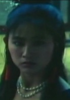 少林寺傳奇(1981年王韋嵐執導的台灣電影)