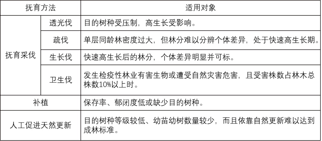 生態公益林養護標準