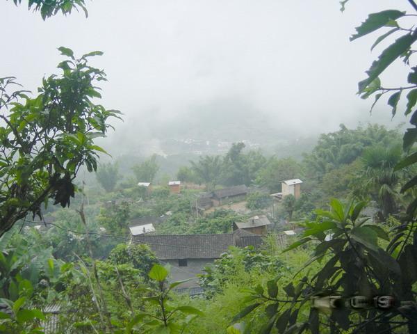 正興鎮景南村