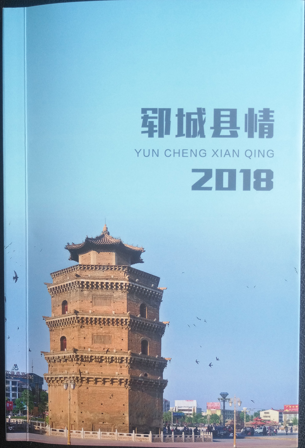 鄆城縣情2018