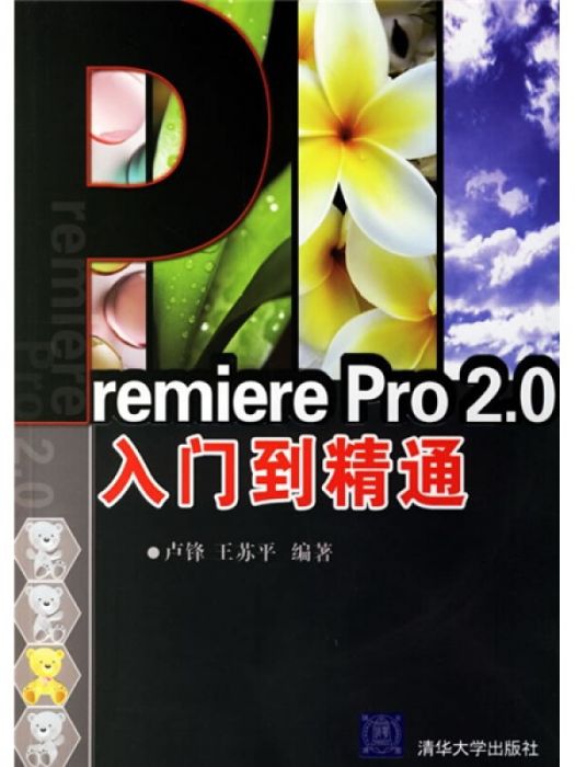 REMIERE PRO2.0入門到精通