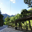 盤道溝村(北京懷柔區寶山寺鄉下轄村)