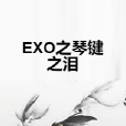 EXO之琴鍵之淚