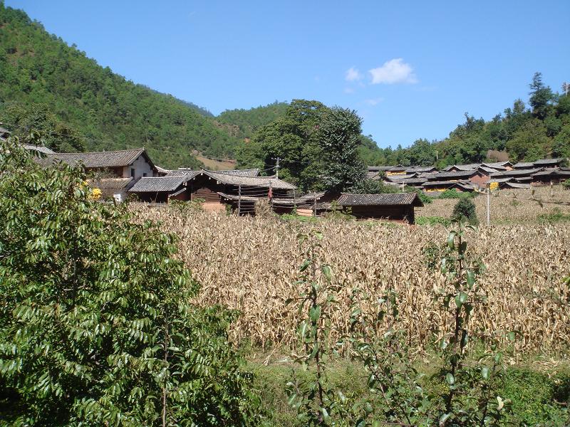 小湖村(山西省陽泉市盂縣東梁鄉小湖村)