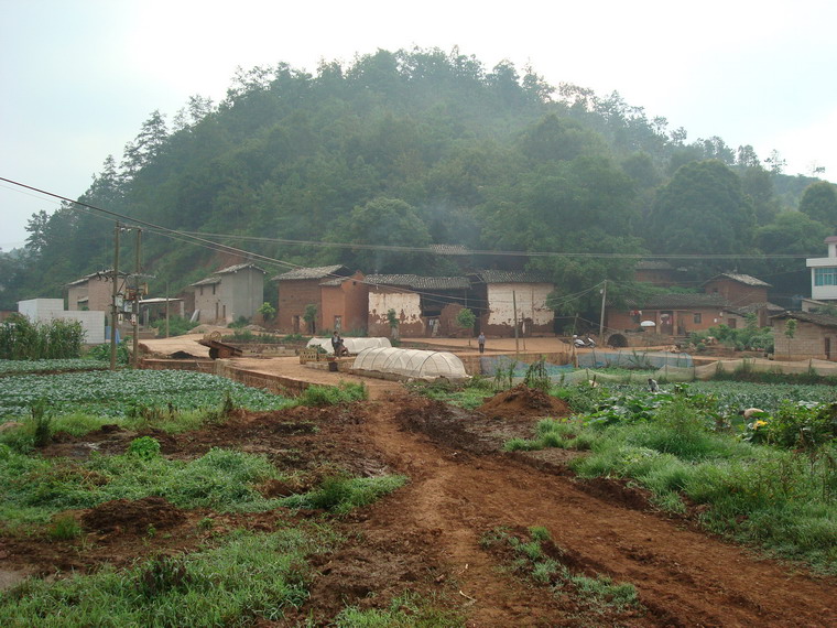 水箐村(雲南梁河縣遮島鎮下轄村)